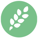 alimentation